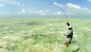 Mexico Fishing Spot Two